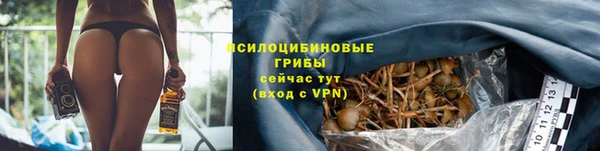 герыч Касимов