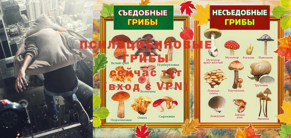 дурь Каменногорск