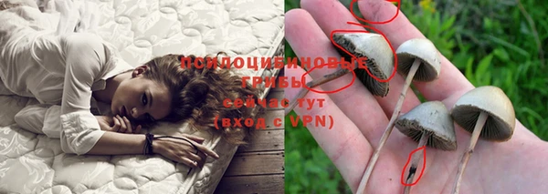 амфетамин Карпинск