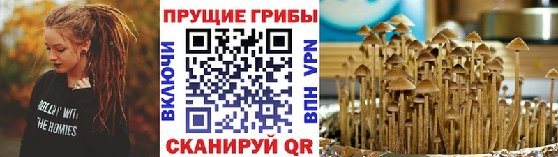 Галлюциногенные грибы Magic Shrooms  Купить где  Холмск 